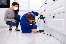 Professional Pest Control in Grover Beach, CA